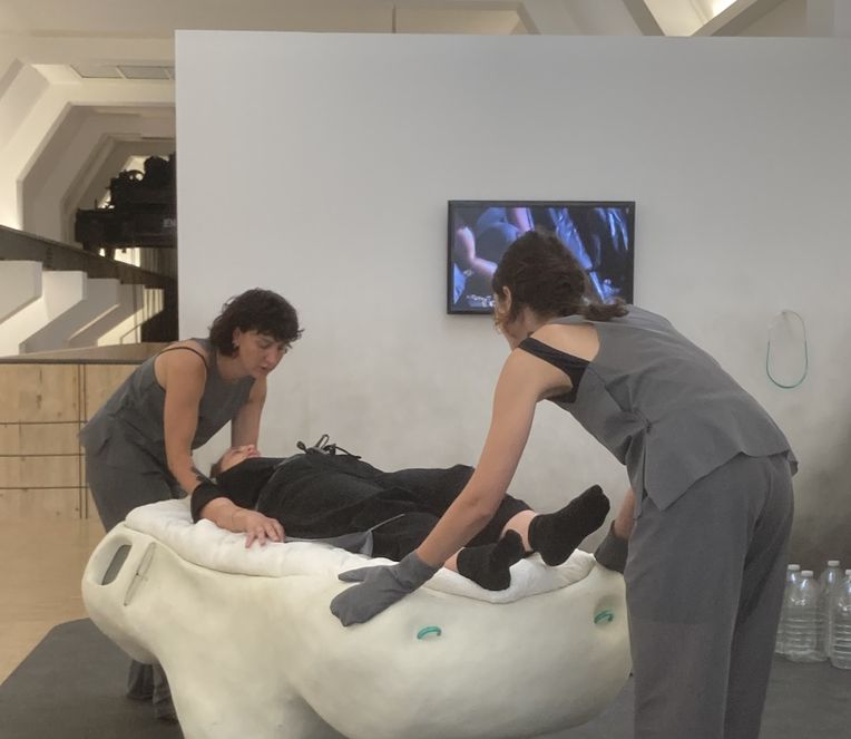 Performance-<i>Là où je me&nbsp;terre</i>