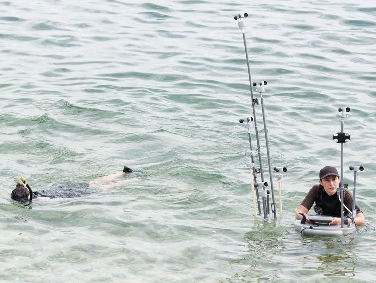 Résidence S&C collab. Sans&nbsp;Âge-<i>AQUAQUAZ</i>