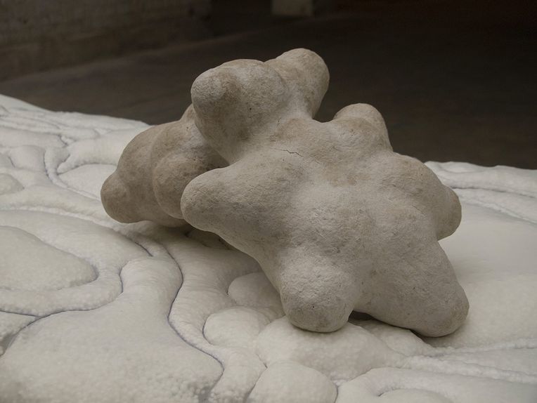 Lauréat-<i>Symbiosis</i>